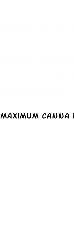 maximum canna drive cbd gummies reviews