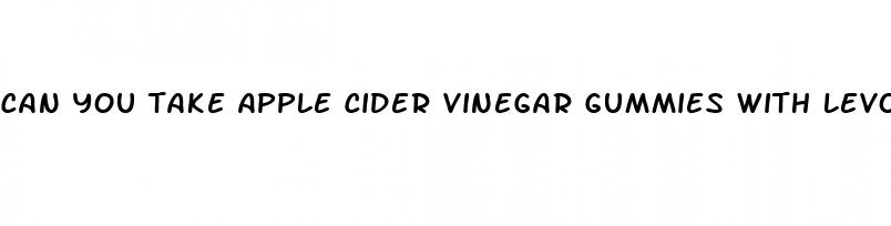 can you take apple cider vinegar gummies with levothyroxine