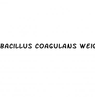 bacillus coagulans weight loss
