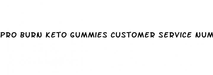pro burn keto gummies customer service number