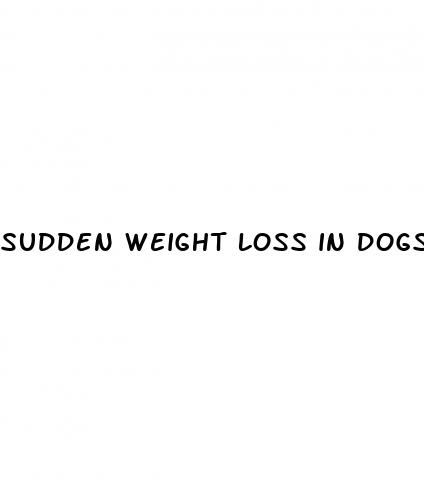 sudden weight loss in dogs
