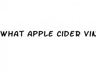 what apple cider vinegar to drink