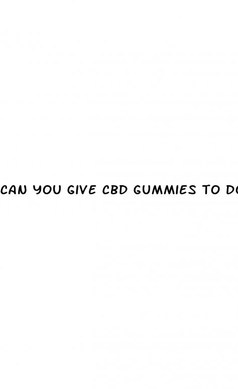 can you give cbd gummies to dogs