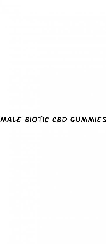 male biotic cbd gummies
