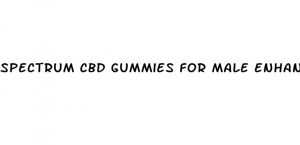 spectrum cbd gummies for male enhancement