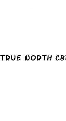 true north cbd gummies near me