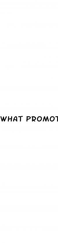 what promotes penis growth