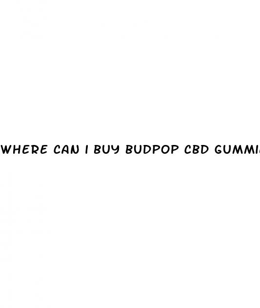 where can i buy budpop cbd gummies