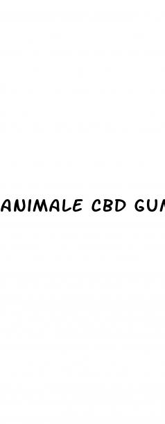 animale cbd gummies for sale