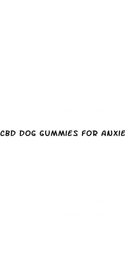 cbd dog gummies for anxiety