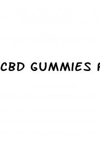 cbd gummies for cats
