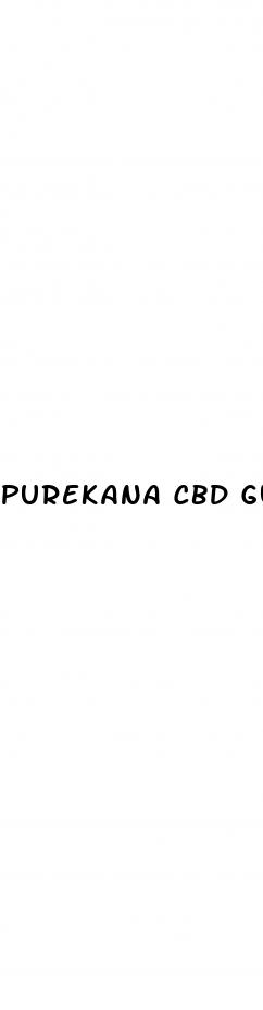 purekana cbd gummies reviews tinnitus