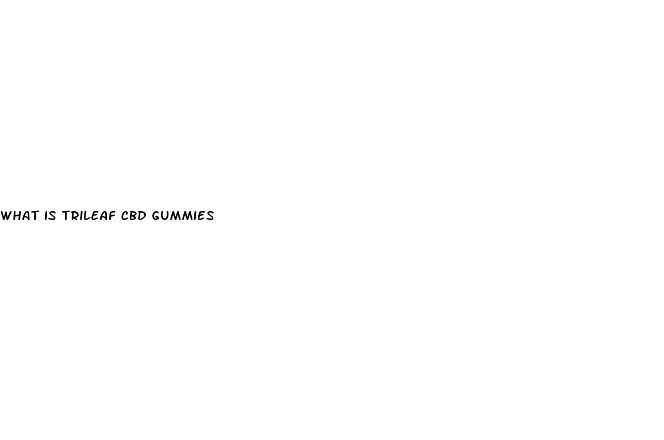 what is trileaf cbd gummies