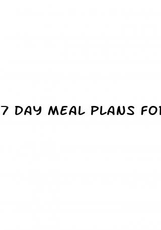 7 day meal plans for weight loss