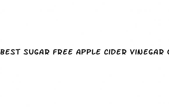 best sugar free apple cider vinegar gummies