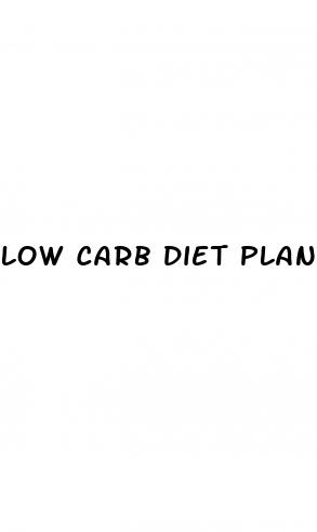low carb diet plan for weight loss