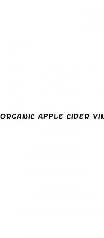organic apple cider vinegar gummies with the mother