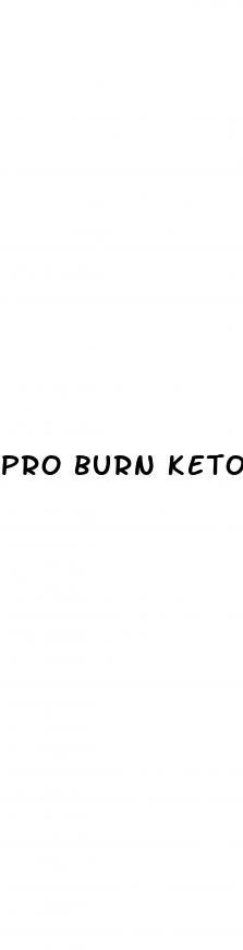pro burn keto acv gummies where to buy