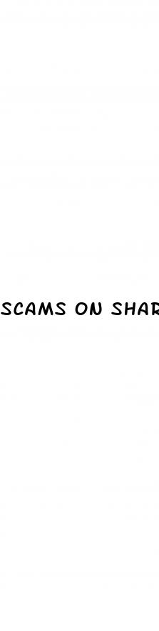 scams on shark tank
