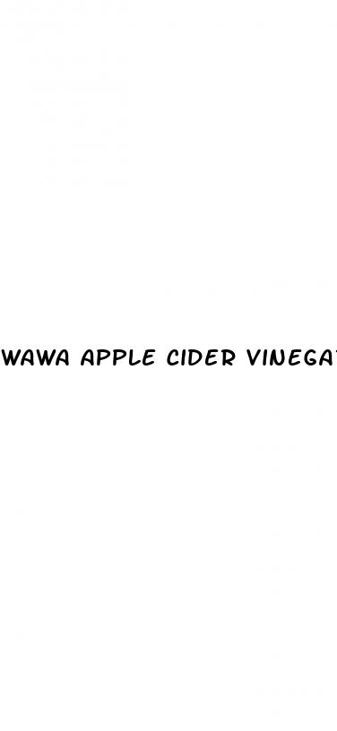wawa apple cider vinegar gummies