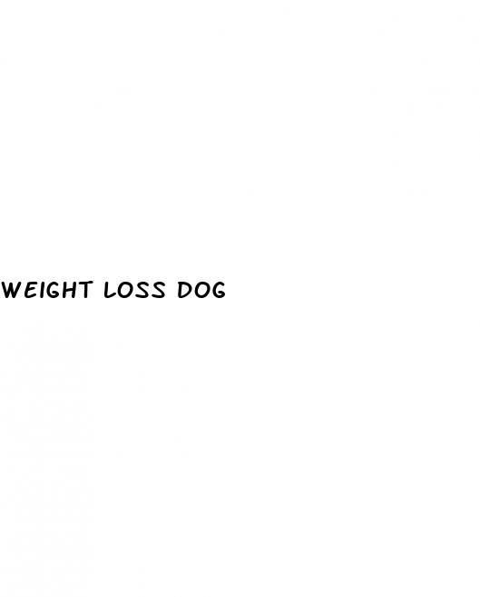 weight loss dog
