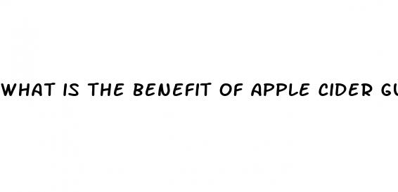 what is the benefit of apple cider gummies