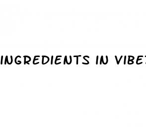 ingredients in vibez keto gummies