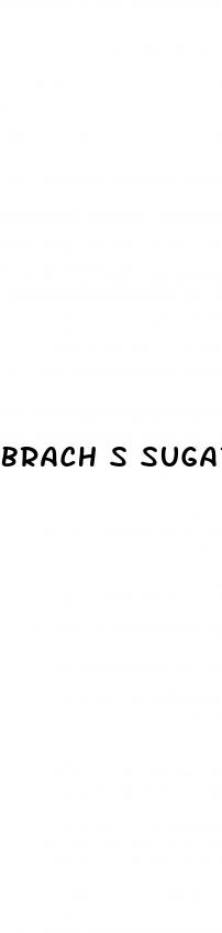 brach s sugar free gummy bears keto