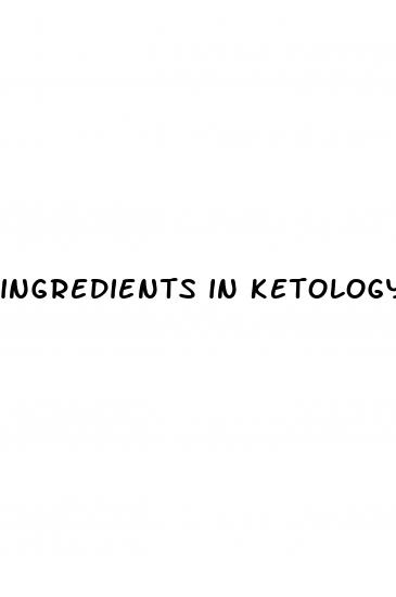 ingredients in ketology keto gummies
