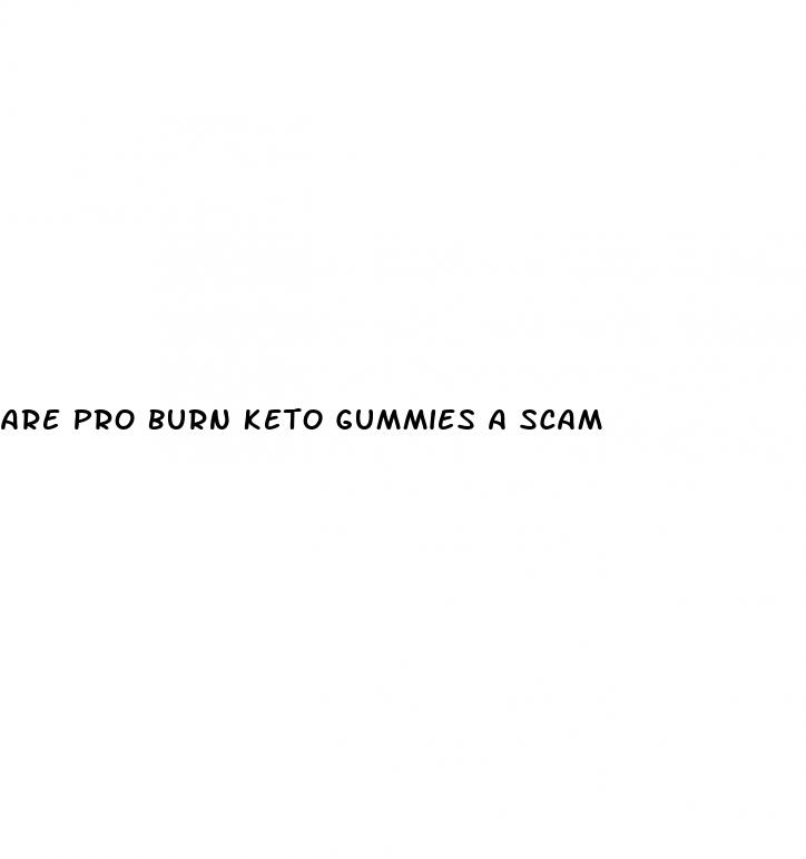 are pro burn keto gummies a scam