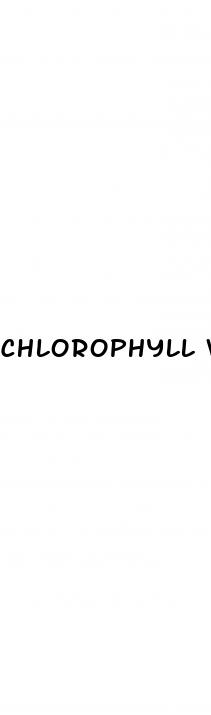 chlorophyll weight loss