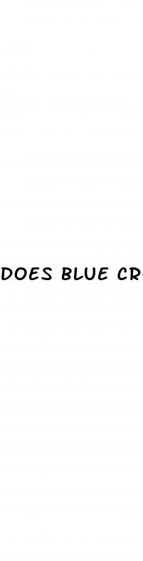 does blue cross blue shield cover weight loss programs