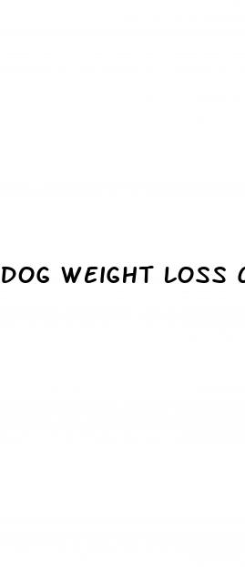 dog weight loss causes