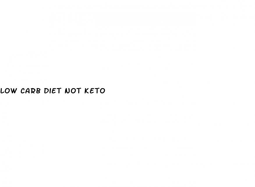 low carb diet not keto