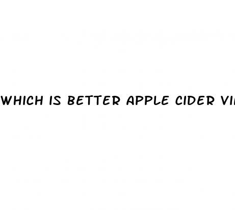 which is better apple cider vinegar gummies or liquid
