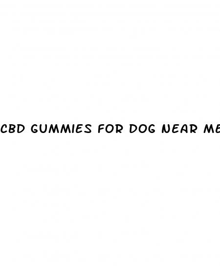 cbd gummies for dog near me