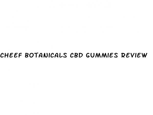 cheef botanicals cbd gummies review
