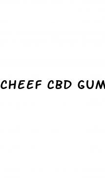cheef cbd gummies review