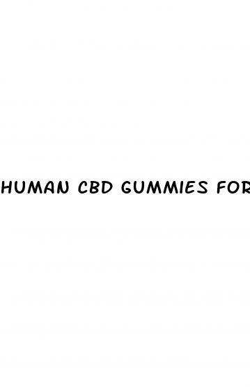 human cbd gummies for dogs