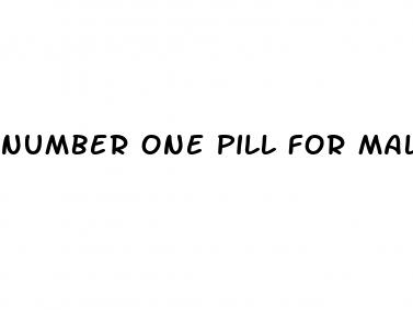 number one pill for male enhancement