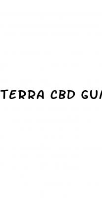 terra cbd gummies