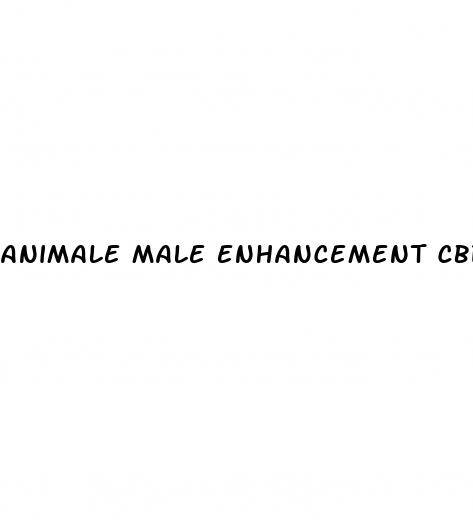 animale male enhancement cbd gummies