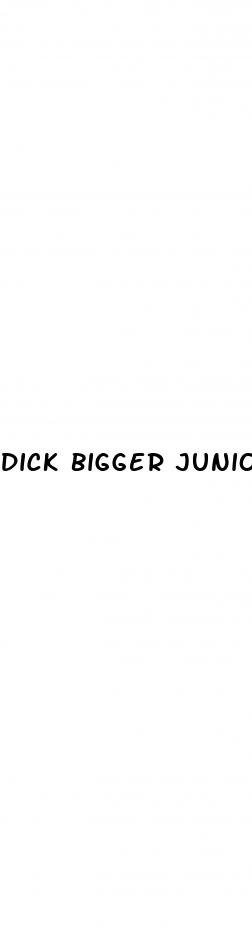 dick bigger junior