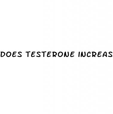 does testerone increase penis size