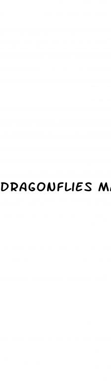 dragonflies male enhancement pills