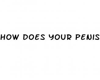 how does your penis get bigger