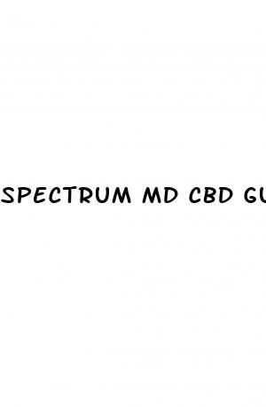 spectrum md cbd gummies