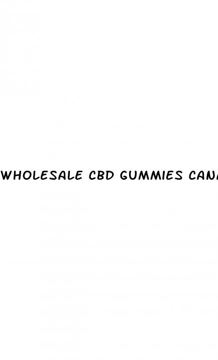 wholesale cbd gummies canada