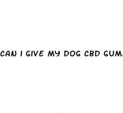 can i give my dog cbd gummy