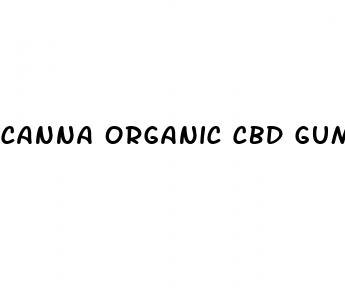canna organic cbd gummies